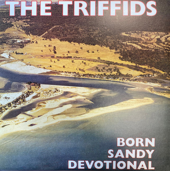 Born Sandy Devotional